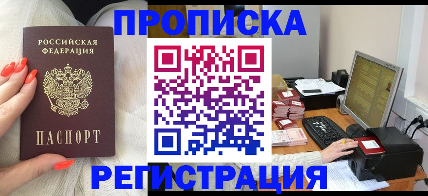 временная регистрация поиск в Алексеевке